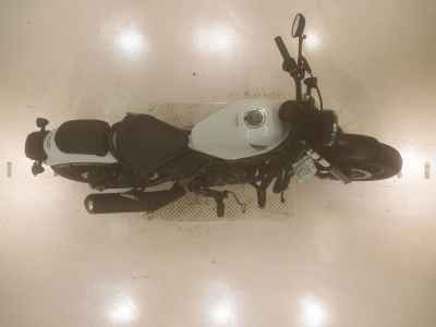 Honda Rebel CMX250 2023