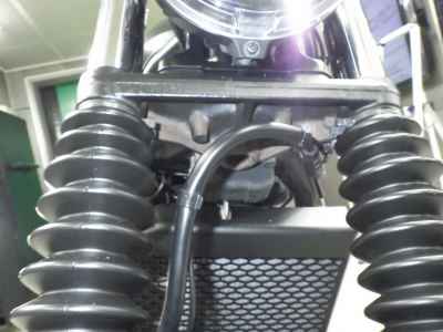 Honda CL500 2023