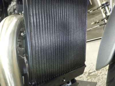 Triumph Speed 400 2025