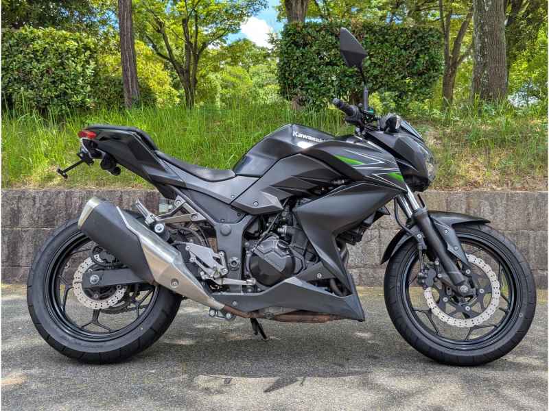 Kawasaki Z250 2013
