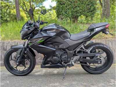Kawasaki Z250 2013