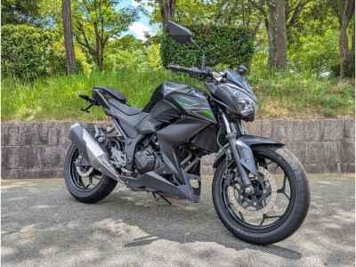 Kawasaki Z250 2013