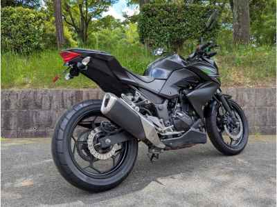 Kawasaki Z250 2013