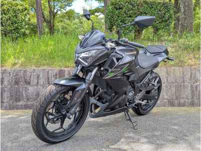 Kawasaki Z250 2013