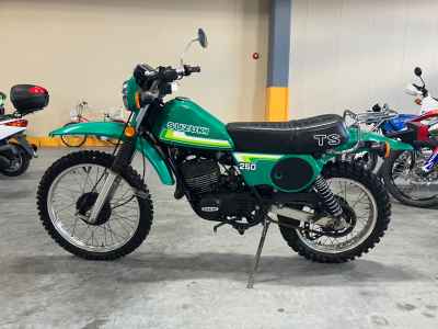 Suzuki HUSTLER250