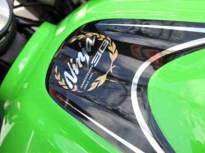 Kawasaki Ninja 250 2015