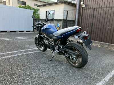 Suzuki SV650 2025