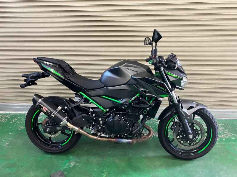 Kawasaki Z250 2024