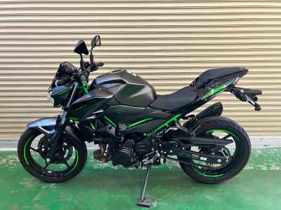 Kawasaki Z250 2024