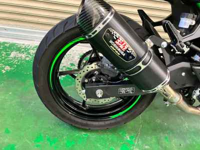 Kawasaki Z250 2024