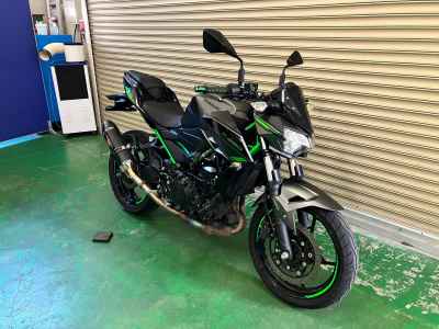 Kawasaki Z250 2024