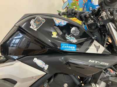 Yamaha MT-25 2016