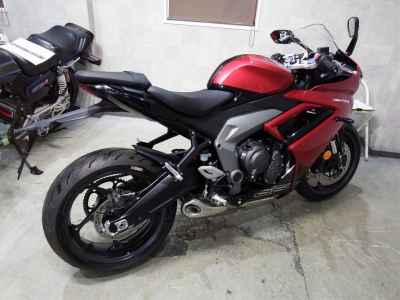 Triumph Daytona 660 2024