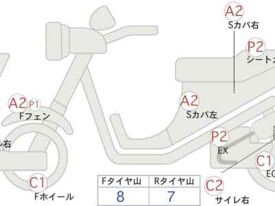 Kawasaki KLX250