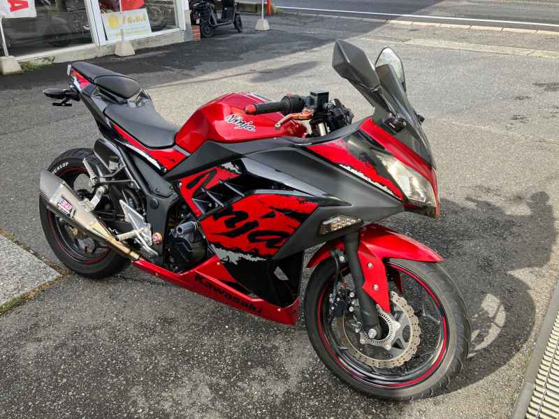 Kawasaki Ninja 250SE