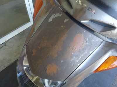 Honda Foresight