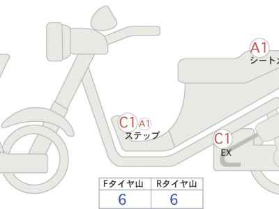 Kawasaki Z900 2023