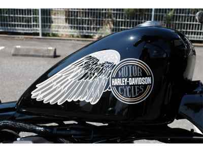 Harley-Davidson ACCESS125 2014