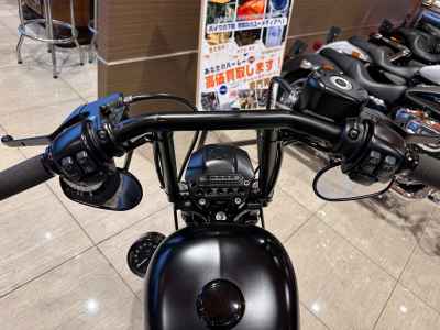 Harley-Davidson Sportster Iron XL883N 2018