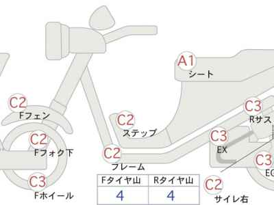 Kawasaki W800 2022