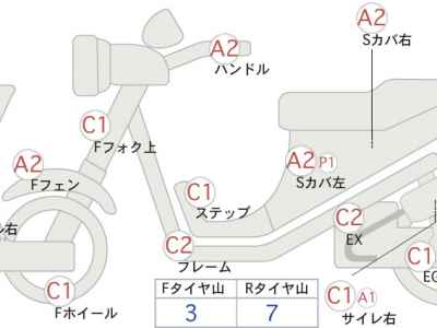 Kawasaki D-Tracker 250 X