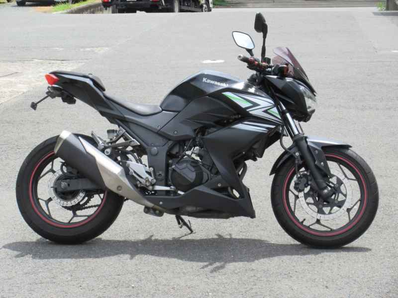 Kawasaki Z250 2013