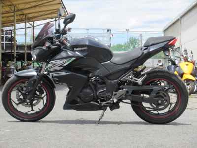 Kawasaki Z250 2013