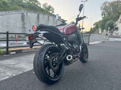Yamaha XSR700 2019