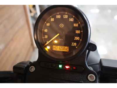 Harley-Davidson Sportster Iron XL883N 2020