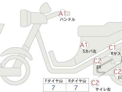 Kawasaki W800 Street 2020