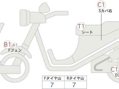 Harley-Davidson FLSTC1580 2009