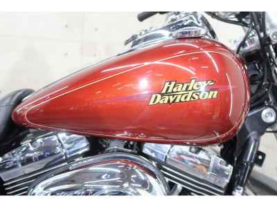 Harley-Davidson Low Rider FXDL1450 2009