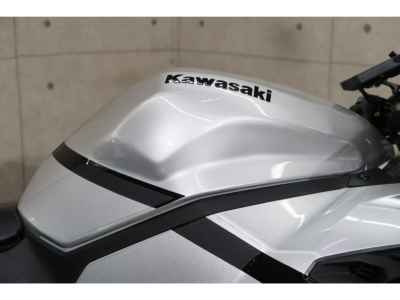 Kawasaki Ninja ZX-4 2024