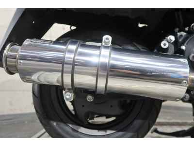 Honda PS250 2006