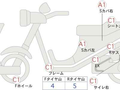 Kawasaki W800 2022
