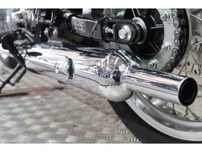 Kawasaki W800 2022