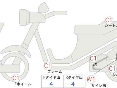 Kawasaki W800 2023