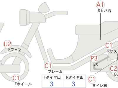 Kawasaki Estrella RS