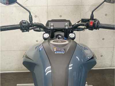 Yamaha FZS-FI 2025