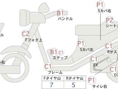 Kawasaki D-Tracker 250 X