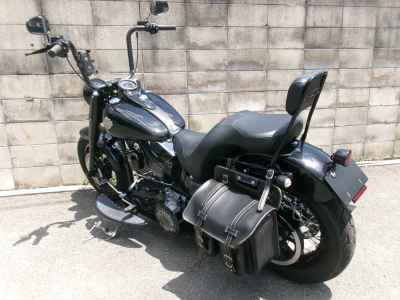 Harley-Davidson Slim S FLSS1800 2016