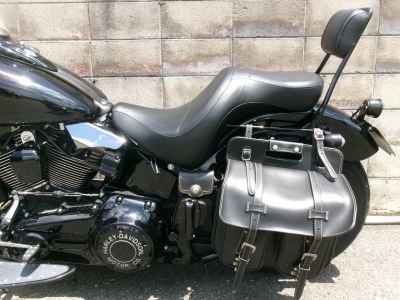 Harley-Davidson Slim S FLSS1800 2016
