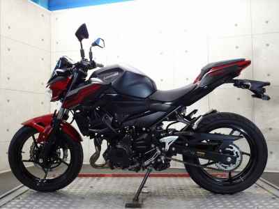 Kawasaki Z250 2019