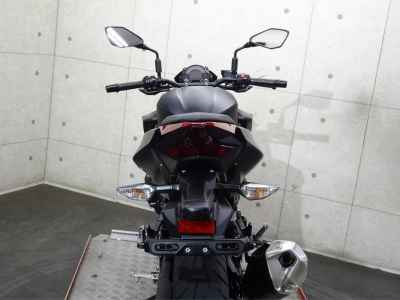 Kawasaki Z250 2019