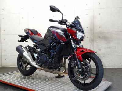 Kawasaki Z250 2019