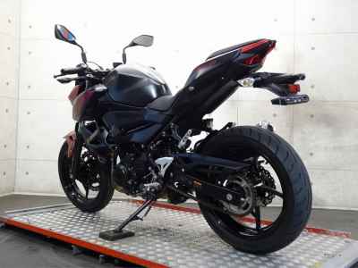 Kawasaki Z250 2019