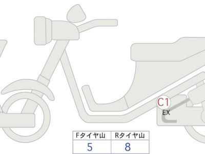 Kawasaki W800 2015