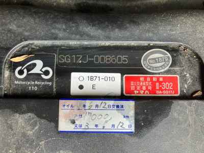 Yamaha Maxam 250