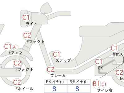Kawasaki Estrella RS