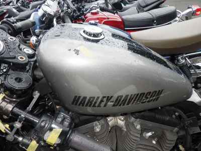 Harley-Davidson Roadster XL1200CX 2017